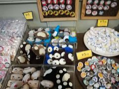 -猫咪博物馆(顶澳仔猫街店)