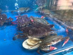 -老东镇啤酒屋海鲜加工·蒸汽海鲜·海鲜烧烤(台东店)