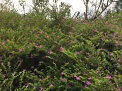 -白鹭湾湿地公园