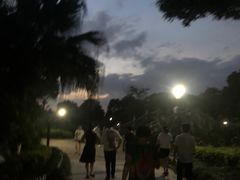 -河泥荡文化公园
