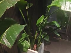 -阿伟海鲜楼·福建菜(涵江店)