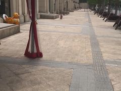 -宠小格时尚宠物生活馆(唐镇店)