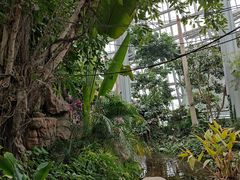 -郑州植物园