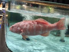 -阿伟海鲜楼·福建菜(延寿店)