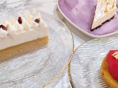 -Husky Go! 哈士奇体验馆·宠物咖啡厅狗咖