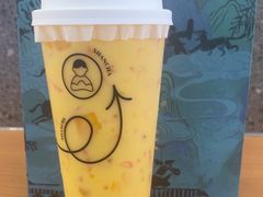 -雾与山茶(大禹城店)