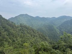 -四明山国家森林公园