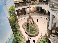 -辽宁古生物博物馆