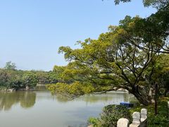 -江心屿景区