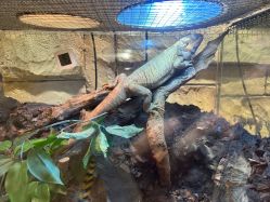 -Zoolung Zoolung动物主题公园(海信广场店)