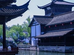 -鲁镇