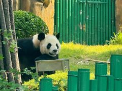 -大连森林动物园