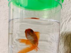 -海底捞火锅(龙湖北京大兴天街店)