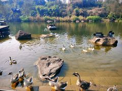 -两江国际影视城