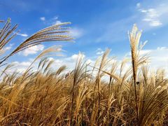 -中共上海市委党校 上海行政学院