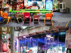 -正佳雨林生态植物园