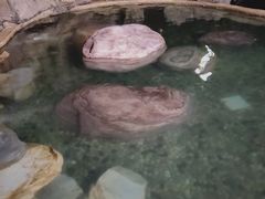 -天目湖涵田半山温泉水乐园