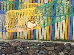 -西部长青自然儿童乐园