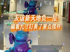 -友谊新天地广场(金街店)