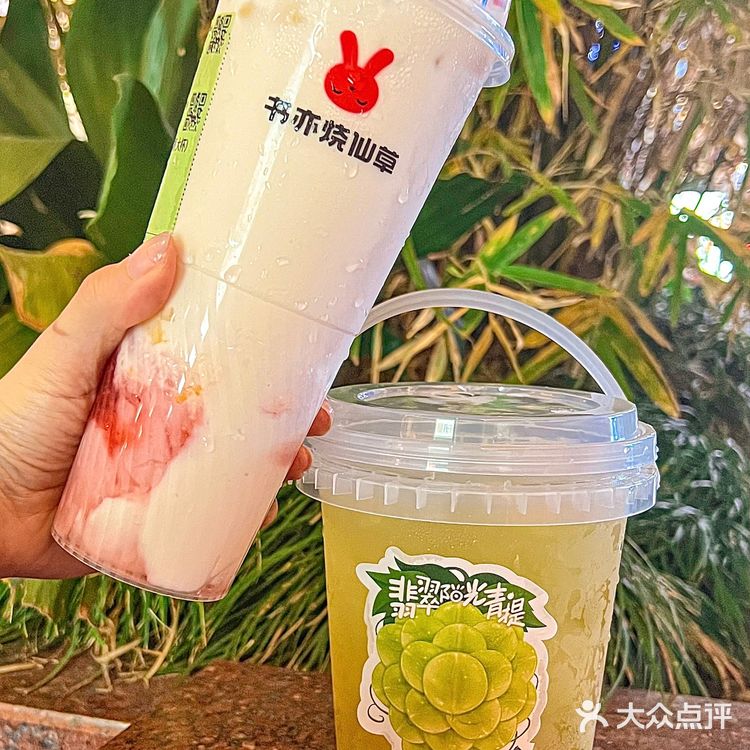 上海呆萌红兔子🐰奶茶书亦烧仙草