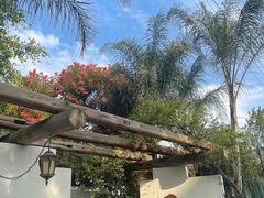 -三圣花乡旅游区