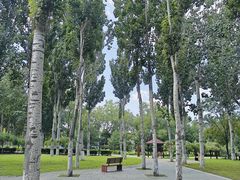 -东升八家郊野公园