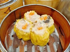 -金鮀岛潮州酒家