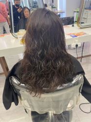 -镁连社·美联社