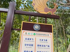 -西双版纳原始森林公园