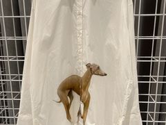 -the balancing(东方店)