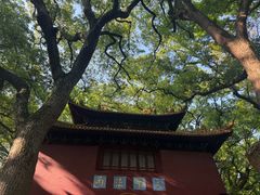 -普陀山风景名胜区-法雨禅寺