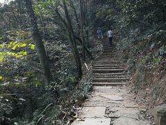 -杭州半山国家森林公园