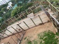 -青藏高原野生动物园