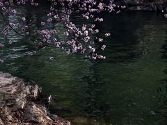 -颐和园