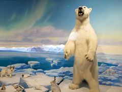 -陕西自然博物馆