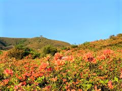 -大围山国家森林公园