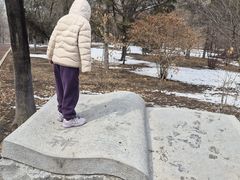 -黛秀湖公园