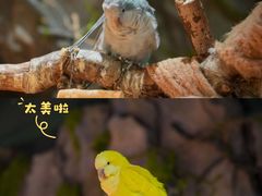 -正佳雨林生态植物园