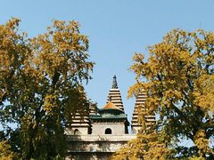 -北京石刻艺术博物馆(五塔寺)