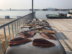 -湛江海鲜餐厅
