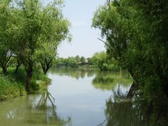 -长兴太湖图影湿地文化园