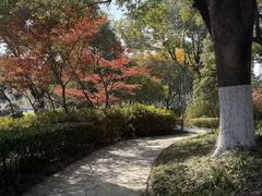 -昆山城市公园