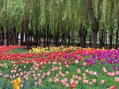 -长春公园(普阳街道)