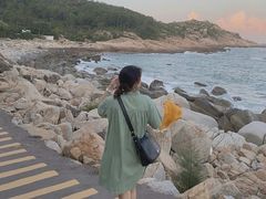 -广东惠东海龟国家级自然保护区