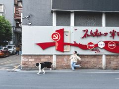 -长洲岛