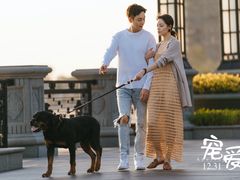 -SFC上影影城(新世界店)