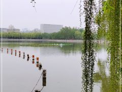-北京电力医院