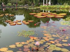 -国家植物园南园