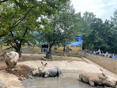 -西安秦岭野生动物园