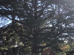 -青岛德国总督楼旧址博物馆